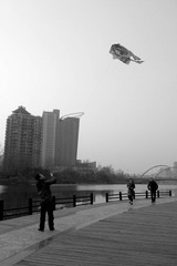 P1040227.jpg
