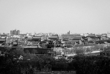 P1050058.jpg