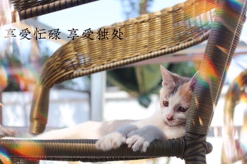 CF0902E6-664E-4F17-8DC4-F52556922ECC/L0/001