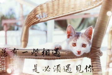 C59A3E98-8C8F-4959-BF0D-C6D43C9D2937/L0/001