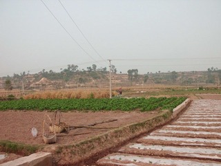 CIMG1747.JPG
