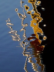 1000016125