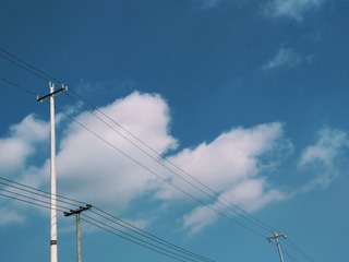 121319
