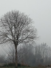 121307