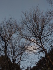 200988