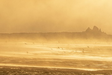_MG_5932.jpg