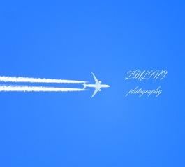 1000319742