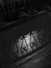 1656768_796760584_rotate.jpg