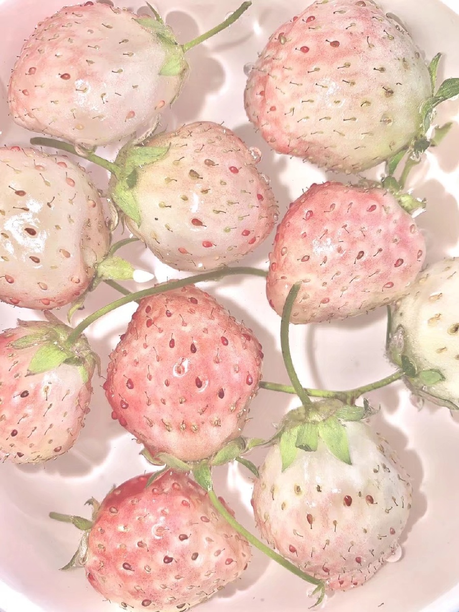 今天粉色草莓的独白