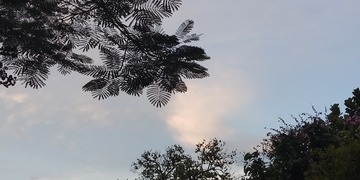 4310902