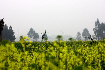 IMG_0518.JPG