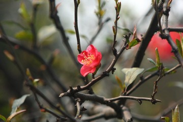 IMG_1159.JPG