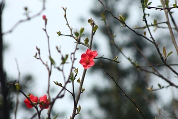 IMG_1162.JPG