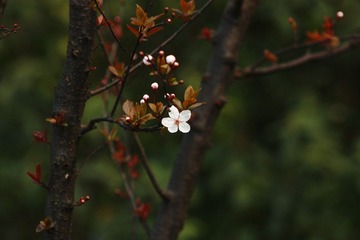 IMG_1172.JPG