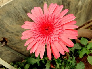 DSC04576_副本.jpg