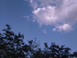255441