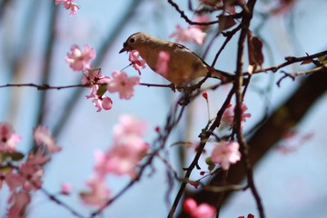 IMG_7621.JPG