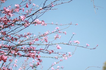 IMG_7608.JPG
