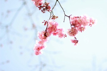 IMG_7585.JPG
