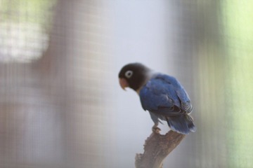 IMG_7582.JPG
