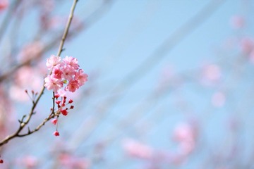 IMG_7548.JPG