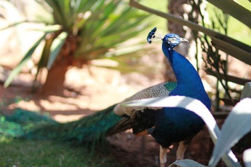 IMG_7570.JPG