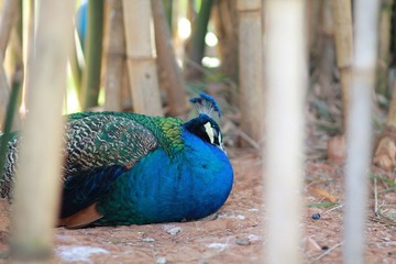 IMG_7562.JPG
