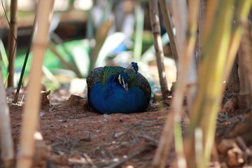 IMG_7563.JPG