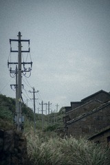 161506