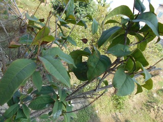B0D4CDAA-2E67-44B8-9F7F-527421D78907/L0/001