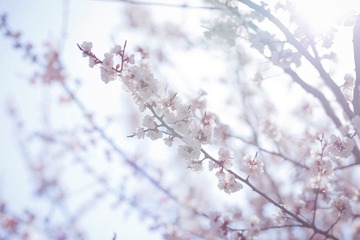 _MG_4728.jpg