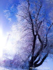 IMG_20120227_110958-编辑-编辑.jpg