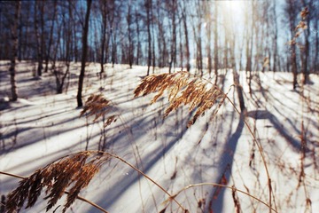 Untitled-30.jpg