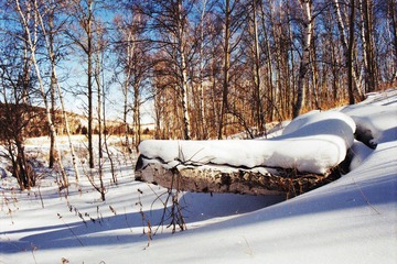 Untitled-31.jpg