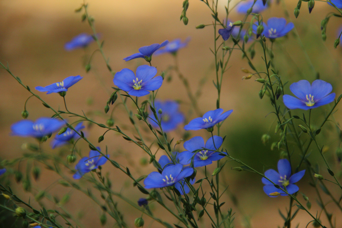 静静的靛蓝色61人民公园