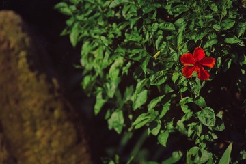 C09A7513-8CA1-4B30-9366-6CEFE031A99A/L0/001