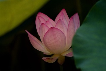 A080885E-CD1A-4848-94B2-7CEDD21E2E76/L0/001
