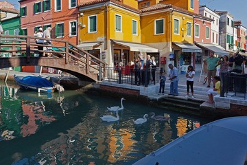 IMG_1181.jpg