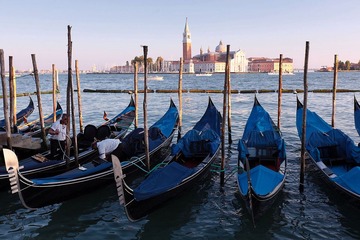 IMG_1288.jpg
