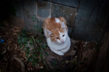 IMG_1842.jpg