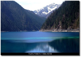 DSCF1355