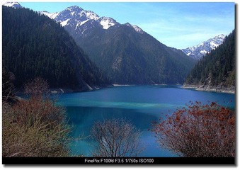 DSCF1343