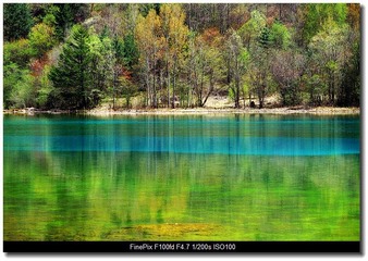 DSCF1272