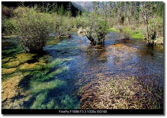 DSCF1159