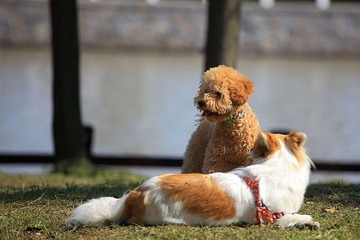 IMG_0347