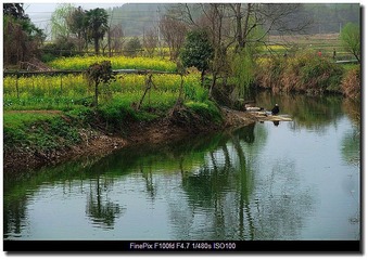 DSCF1014