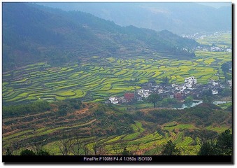 DSCF0979