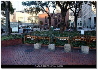 DSCF0891