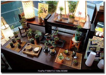 DSCF0857