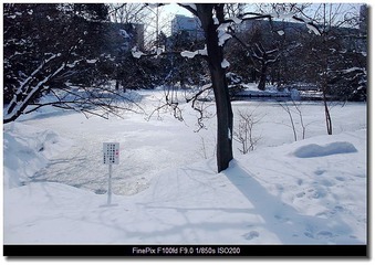 DSCF0770